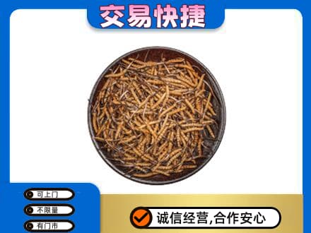 淮北杜集区高价回收散虫草